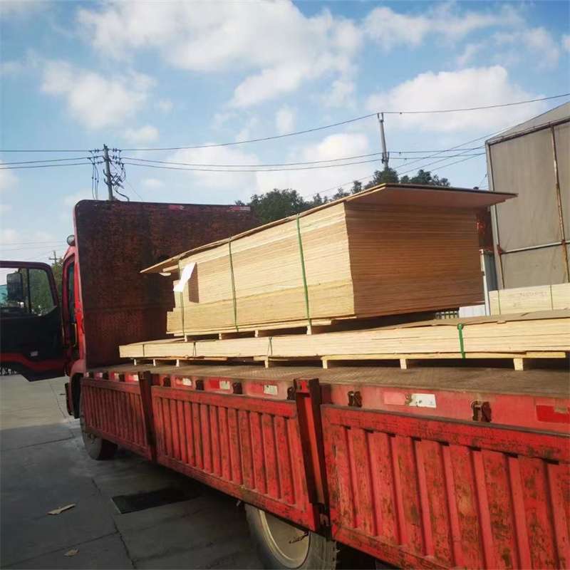 福建三明梅列至塔城货运专线，一站式物流服务助您成功